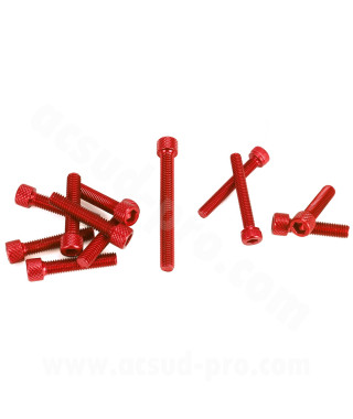 KIT VIS BTR CARTER EMBRAYAGE ROUGE ADAPT. MOTEUR AM6 ( VIS POMPE A EAU + POMPE A HUILE INCLUS ) 12PCS