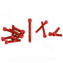KIT VIS BTR CARTER EMBRAYAGE ROUGE ADAPT. MOTEUR AM6 ( VIS POMPE A EAU + POMPE A HUILE INCLUS ) 12PCS