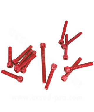 KIT VIS BTR CARTER EMBRAYAGE ROUGE ADAPT. MOTEUR DERBI EURO 3 / 4  ( VIS POMPE A EAU + POMPE A HUILE INCLUS ) 13PCS