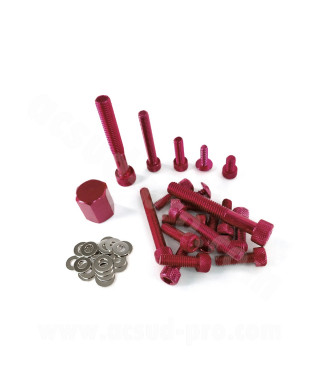 KIT VIS DECO ADAPT. MBK 50 BOOSTER 2004/YAMAHA 50 BWS 2004 ROUGE