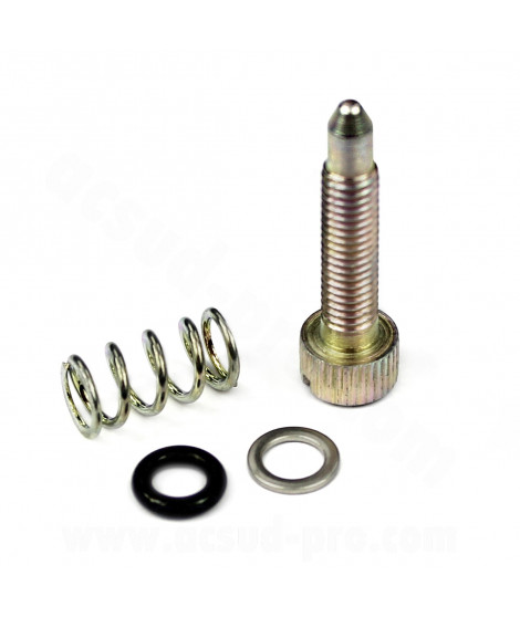 KIT VIS RALENTI CARBURATEUR DELLORTO PHBH / PHBL / PHF / PHM / VHBT
