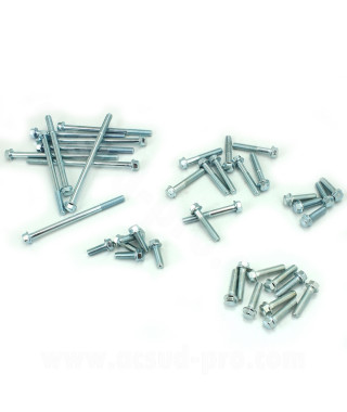 KIT VISSERIE COMPLETE MOTEUR GY6 50CC 4T (40 PIECES)