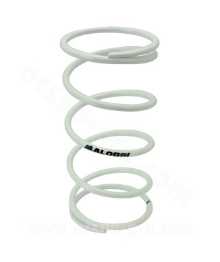 RESSORT VARIATEUR SCOOT MALOSSI POUR MBK 50 BOOSTER / NITRO / YAMAHA 50 BWS / AEROX / APRILIA 50 SR / MALAGUTI 50 F12  BLANC