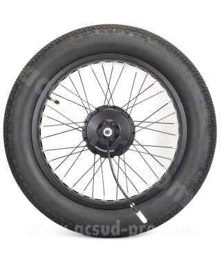 _ROUE ARRIERE EZO ALPER ROAD COMPLETE AVEC CA ET PNEU
