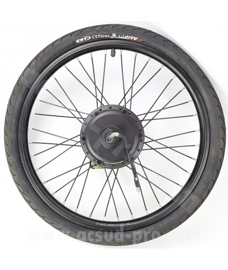 _ROUE MOTEUR ARRIERE EZO ODEON 20