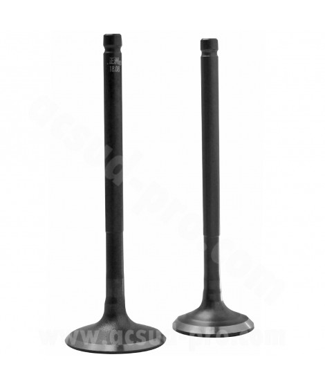 SOUPAPE MAXISCOOTER ADAPT. HONDA SH / SWING / DYLAN / PANTHEON 125CC 2003-2010  (OEM : 14711-KCW-000 + 14721-KCW-000) (LA PAIRE)