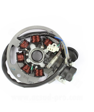 STATOR  ALLUMAGE ADAPT. STRIKE / GRIDO / ROMA 2T / OTTO / KEEWAY FACT / LAZIO I CRUZE GY6 2T 50cc (MOTEUR 1PE40QMB)