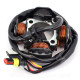 STATOR ALLUMAGE MOTO ADAPT BETA 50 2005-2012 (OEM : 28.97810.000)