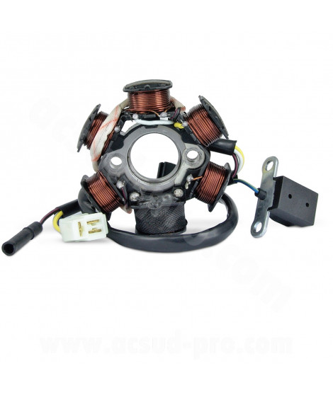 STATOR ALLUMAGE SCOOTER ADAPT. PEUGEOT 50 LUDIX 2004 / KISBEE / DJANGO / SPEEDFIGHT 3 / VIVACITY 3  (OEM : 768349)