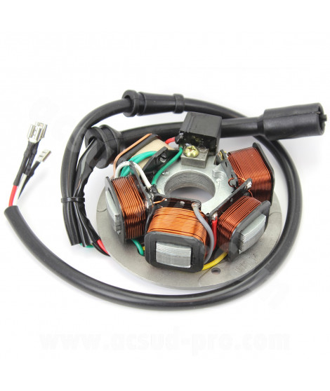 STATOR ALLUMAGE SCOOTER ADAPT. VESPA PK50 / APE 2T 1998-2008 (OEM : 199500)