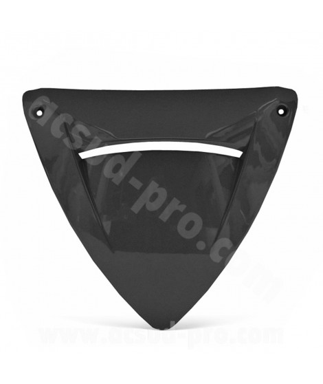 TRAPPE TABLIER ADAPT. PEUGEOT SPEEDFIGHT 2 A PEINDRE