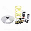 VARIATEUR MAXISCOOTER MALOSSI MULTIVAR 2000 ADAPT. PIAGGIO 530 MP3 HPE 2022. 530 MP3 EXCLUSIVE 2022 (5119793)