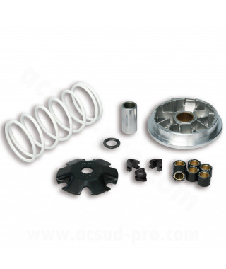 VARIATEUR SCOOT MALOSSI MULTIVAR ADAPT. TNT MOTOR BOSTON / HALO / PEUGEOT  SPEEDFIGHT 3 TWEET / SYM CROX SYMPHONY ( 5114206 )