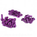 VIS DECO CAPOTAGE PEUGEOT BUXY VIOLET