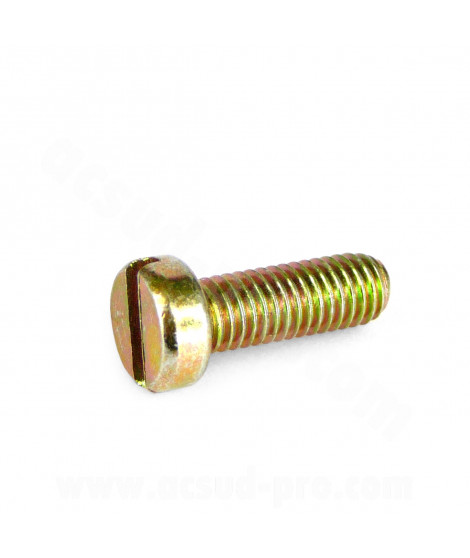 VIS DE COUVERCLE BOISSEAU CARBURATEUR DELLORTO PHVA (7526 36)
