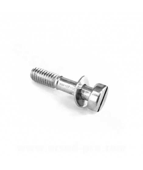 VIS DE CUVE CARBURATEUR DELLORTO PHVA / PHBN (13709 36)