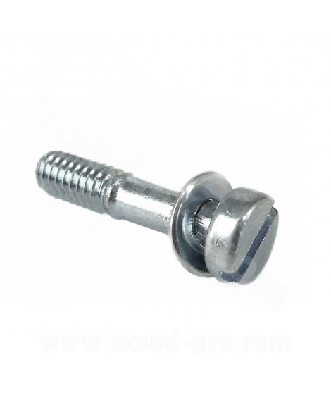 VIS DE CUVE CARBURATEUR DELLORTO SHA (1183700 36)
