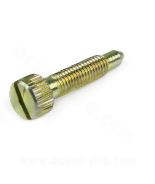 VIS DE RALENTI CARBURATEUR DELLORTO PHBG