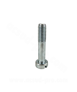 VIS DE SERRAGE COLLIER CARBURATEUR DELLORTO SHA 15/15