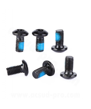 VIS FIXATION DISQUE FREIN VELO TORX (6 PIECES)