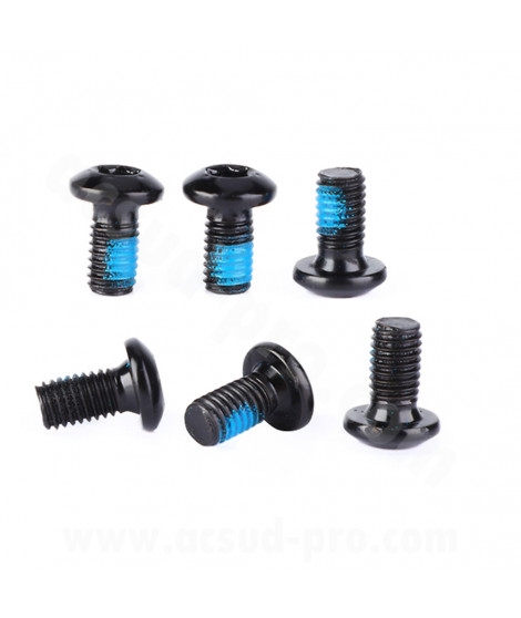 VIS FIXATION DISQUE FREIN VELO TORX (6 PIECES)