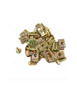 VIS M4X10 + 20 AGRAFES DE CARROSSERIE (SACHET DE 20 PIECES)