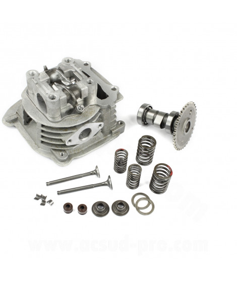 CULASSE SCOOTER COMPLETE ADAPT TNT MOTOR ROMA BOSTON 10 POUCES GY6 50CC 4T 139QMA/B PEUGEOT 50 KISBEE V-CLIC 4T KYMCO 50