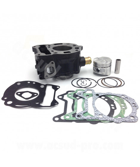CYLINDRE MAXISCOOTER RB MAX FONTE ADAPT PIAGGIO 125 MP3 07 BEVERLY 05 X8 04 X9 03 X10 12 X-EVO 07 VESPA GTS 07 GILERA 125 NEXUS