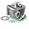 CYLINDRE MAXISCOOTER TNT FONTE ADAPT SYM 125 FIDDLE 2 3 4 JET 4 SYMPHONY ORBIT 23 PEUGEOT 125 TWEET 125 DJANGO SPEEDFIGHT 3