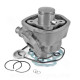 CYLINDRE SCOOTER TNT FONTE ADAPT MBK NITRO MBK MACH G H2O YAMAHA AEROX YAMAHA JOG R H2O MALAGUTI F12F15 APRILIA SR H2O