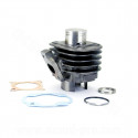 CYLINDRE SCOOTER TNT FONTE ADAPT MBK OVETTO MACH G YAMAYA NEOS JOG APRILIA SR50  MALAGUTI F10 2T  (BOITE DE 12 CYLINDRES)