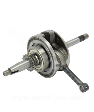 EMBIELLAGE MAXISCOOTER RB MAX ADAPT HONDA PCX 2012-2017 SH 125cc 2014-2016  4T START AND STOP (axe Ø13)