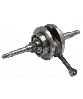 EMBIELLAGE MAXISCOOTER RB MAX ADAPT HONDA SH SWING DYLAN PANTHEON 125/150cc 4T 2001-11 (axe Ø14)