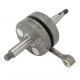 EMBIELLAGE MOTO CARENZI ADAPT MINARELLI AM6 /BETA 50 RR MBK 50 X-POWER YAMAHA 50 TZR PEUGEOT 50 XPS RIEJU 50 RS MANETON 18mm