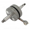 EMBIELLAGE MOTO CARENZI ADAPT MINARELLI AM6 /BETA 50 RR MBK 50 X-POWER YAMAHA 50 TZR PEUGEOT 50 XPS RIEJU 50 RS MANETON 18mm