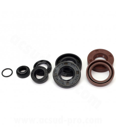 JOINT SPI MOTEUR ADAPT MINARELLI AM6 50CC BETA 50 RR MBK 50 X-POWER YAMAHA 50 TZR PEUGEOT 50 XPS RIEJU 50 RS (PACK DE 8 JOINTS)