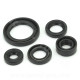 JOINT SPI MOTEUR ADAPT SUZUKI GN125 GS125 - MASH 125 FALCONE SEVENTY  (POCHETTE DE 5 JOINTS)