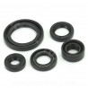 JOINT SPI MOTEUR ADAPT SUZUKI GN125 GS125 - MASH 125 FALCONE SEVENTY  (POCHETTE DE 5 JOINTS)