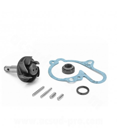 KIT REPARATION DE POMPE A EAU MOTO ADAPT MINARELLI AM6 50CC BETA 50 RR MBK 50 X-POWER YAMAHA 50 TZR PEUGEOT 50 XPS RIEJU 50 RS