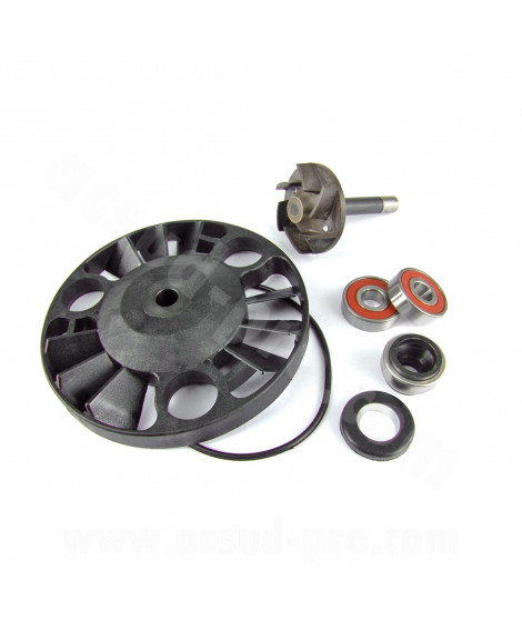 KIT REPARATION POMPE A EAU MAXISCOOTER ADAPT PIAGGIO 125 X8 2004  X9 2001 BEVERLY 2001-2005 VESPA GTS 2003