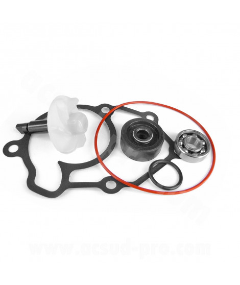 KIT REPARATION POMPE A EAU MAXISCOOTER ADAPT YAMAHA XMAX 125CC 2006-2019 XCITY 125CC 2006-2008 MBK SKYCRUISER 125CC 2006-2019