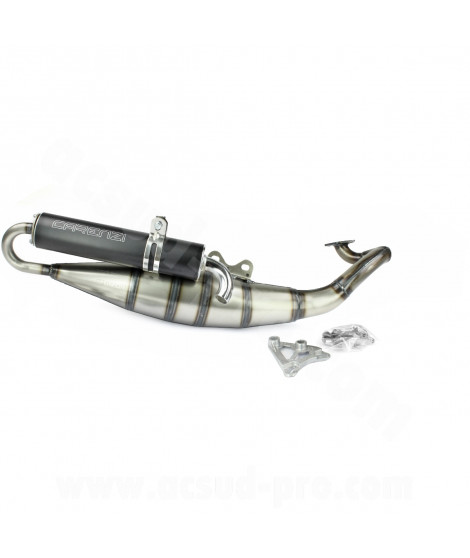 POT D'ECHAPPEMENT CARENZI SCOOT DAEMON ADAPT TNT MOTOR STRIKE GRIDO ROMA OTTO 2T CPI EURO-1 (MOTEUR ASIATIQUE 1PE40QMB 2T)