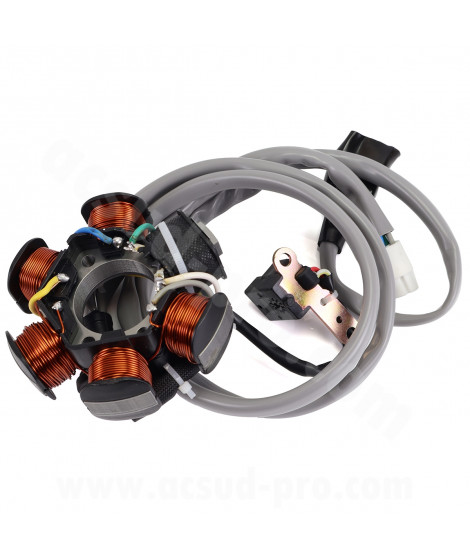 STATOR ALLUMAGE MAXISCOOTER ADAPT PIAGGIO 125 LIBERTY 1998-2005 125 VESPA ET4 1998-2005 125 HEXAGON LX4 JUSQU'A 1997