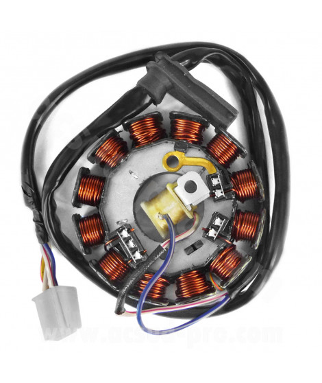STATOR ALLUMAGE MOTO ADAPT AM6 YAMAHA DT50 PEUGEOT  XR6-XR7  XPOWER 2003-2012 TZR50 2003-2012 APRILIA RS  RIEJU MRT 2019