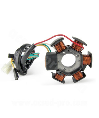 STATOR ALLUMAGE MOTO ADAPT DERBI 50 SENDA DRD PRO 2005-2011 GILERA SMT 2006 RCR 2006 APRILIA RS  MINARELLI AM6 TYPE DUCATI