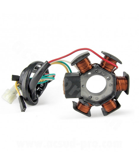 STATOR ALLUMAGE MOTO ADAPT DERBI 50 SENDA DRD PRO 2005-2011 GILERA SMT 2006 RCR 2006 APRILIA RS  MINARELLI AM6 TYPE DUCATI