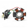 STATOR ALLUMAGE MOTO ADAPT DERBI 50 SENDA DRD PRO 2005-2011 GILERA SMT 2006 RCR 2006 APRILIA RS  MINARELLI AM6 TYPE DUCATI