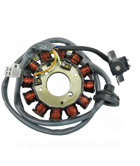 STATOR ALLUMAGE SCOOTER ADAPT MBK 50 BOOSTER 2004 NITRO 2004 OVETTO 2T 2002 STUNT 2004 YAMAHA 50 BWS 2004 AEROX 2004