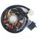 STATOR ALLUMAGE SCOOTER ADAPT PEUGEOT 50 TKR TREKKER SPEEDFIGHT VIVACITY 2T BUXY XFIGHT ELYSEO LOOXOR PGO 50 BIG MAX (6 POLES)