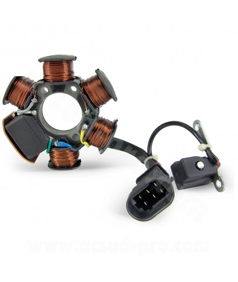 STATOR ALLUMAGE SCOOTER ADAPT PIAGGIO 50 FLY 2000 ZIP 2000 LIBERTY 2000 VESPA LX 2000 PRIMAVERA 2013 TYPHOON 2005 NRG 2000